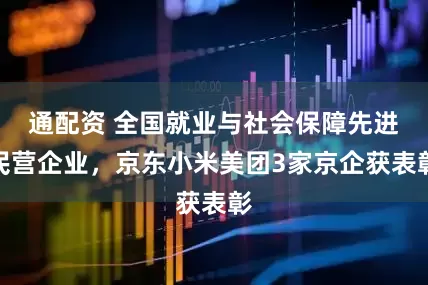 通配资 全国就业与社会保障先进民营企业，京东小米美团3家京企获表彰